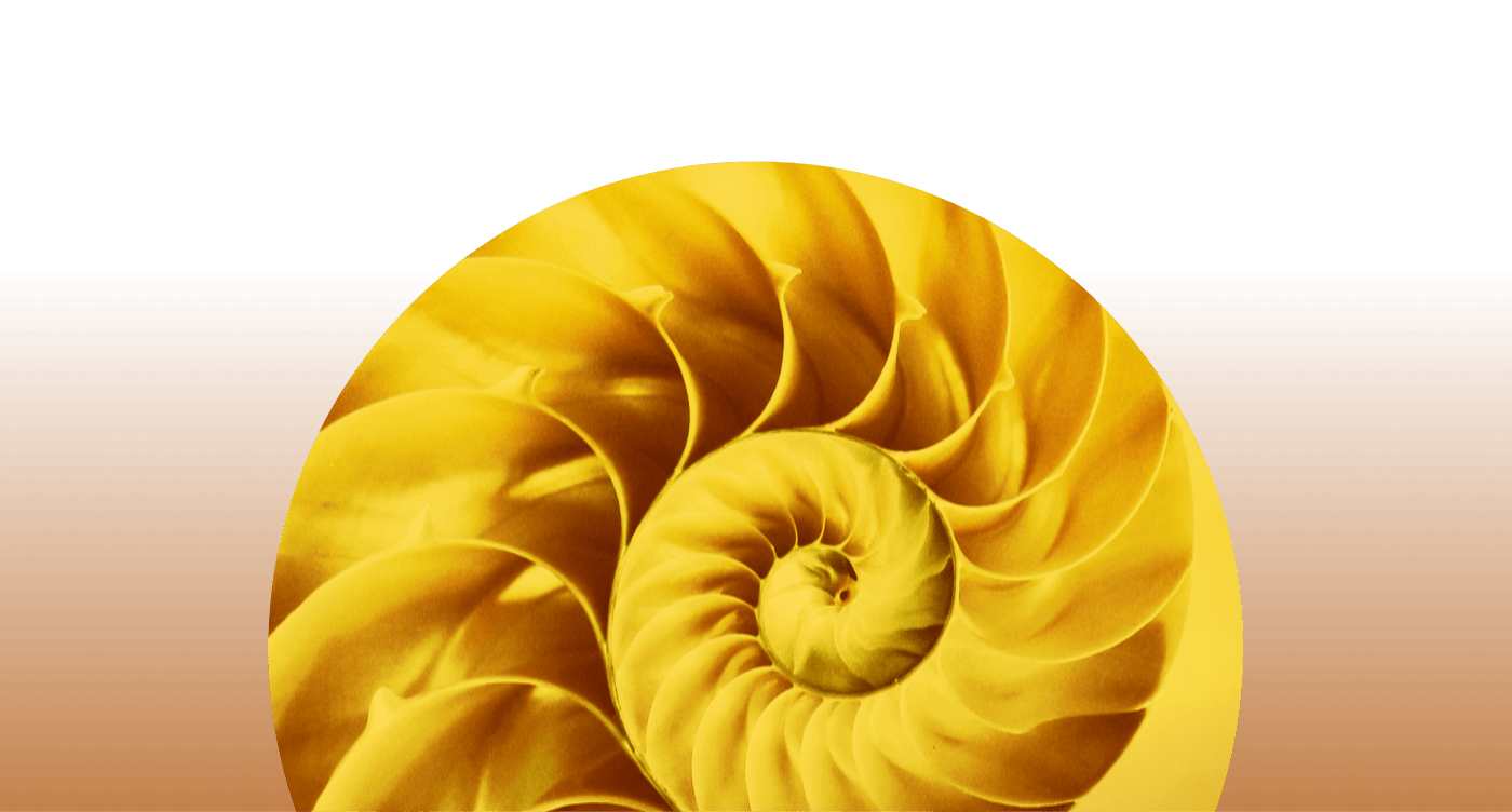 Layer 1