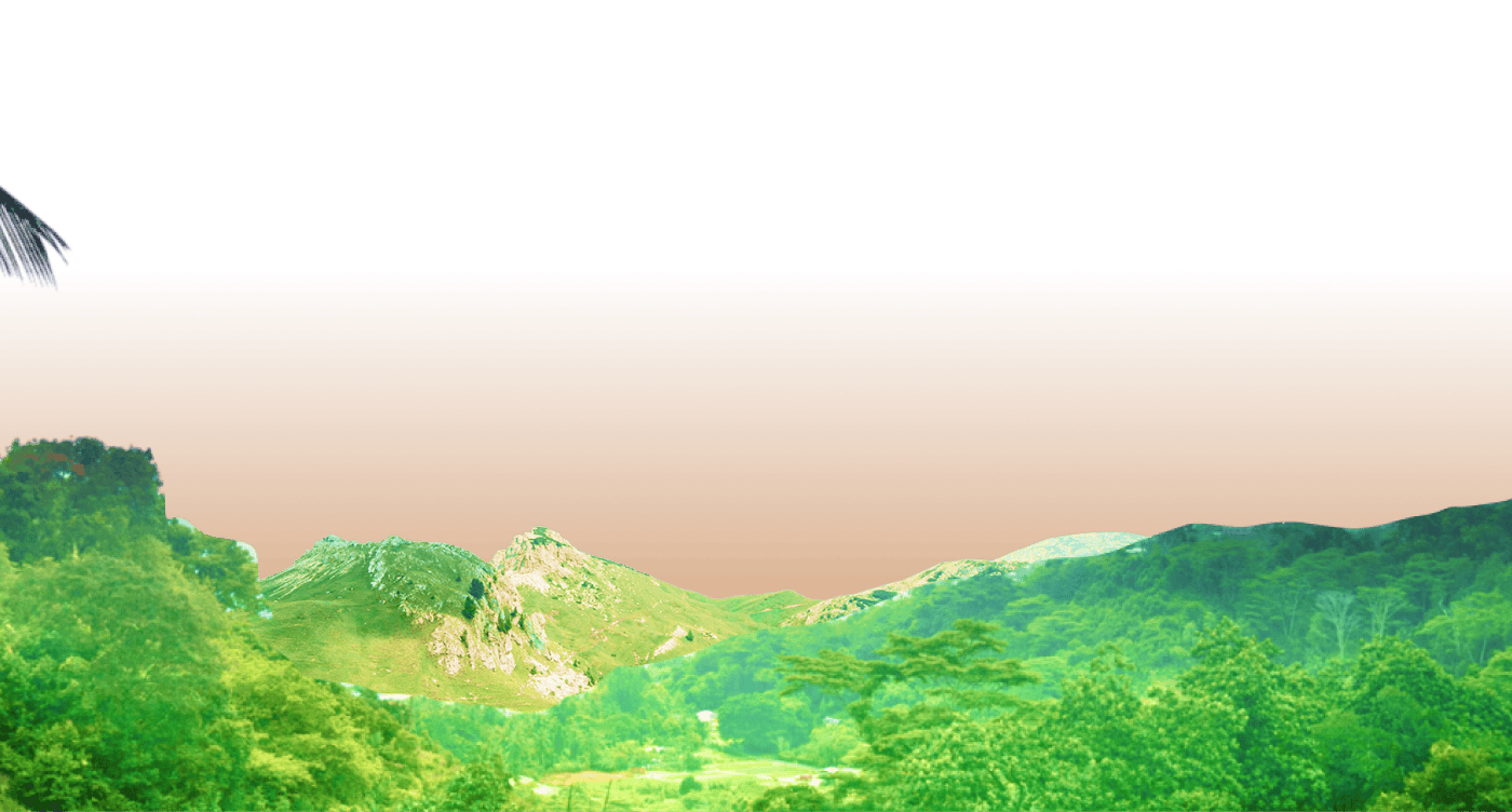 Layer 2