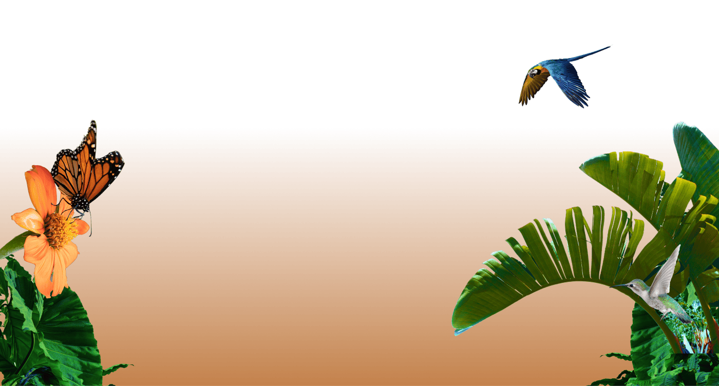 Layer 3